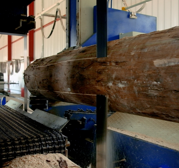 120 CM ТАНДЕМНАЯ ЛЕНТОЧНАЯ ПИЛА