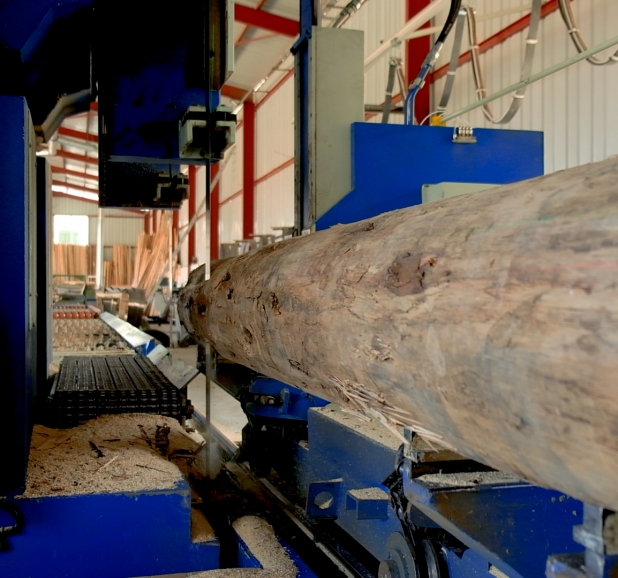 100 CM VERTICAL CHAIN  BAND SAW