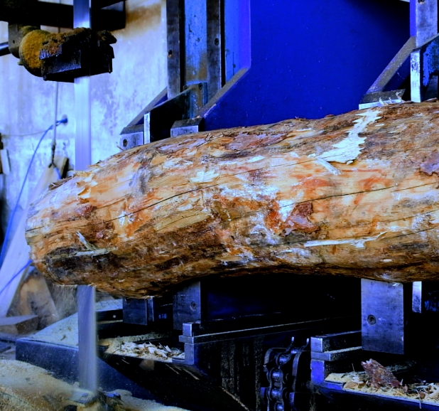 2 BABALI ÜZERİNDEN KUMANDALI TOMRUK ARABASI