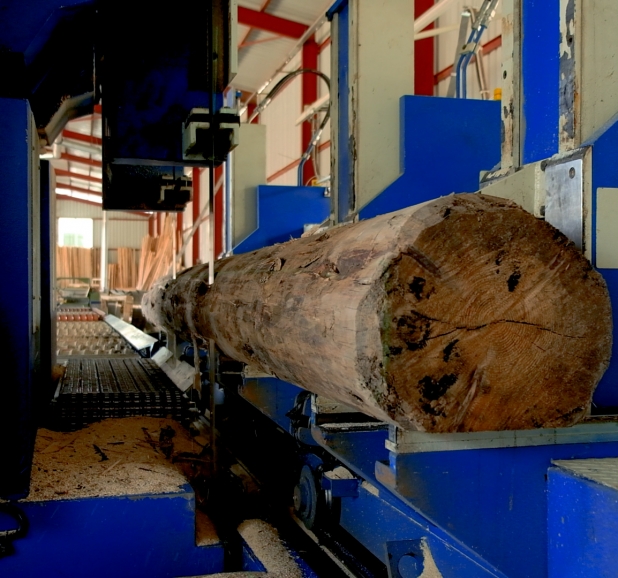 3 BOOT HEAVY TYPE LOG CAR